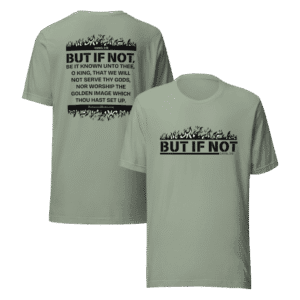 "But If Not" (multiple shirt colors available)